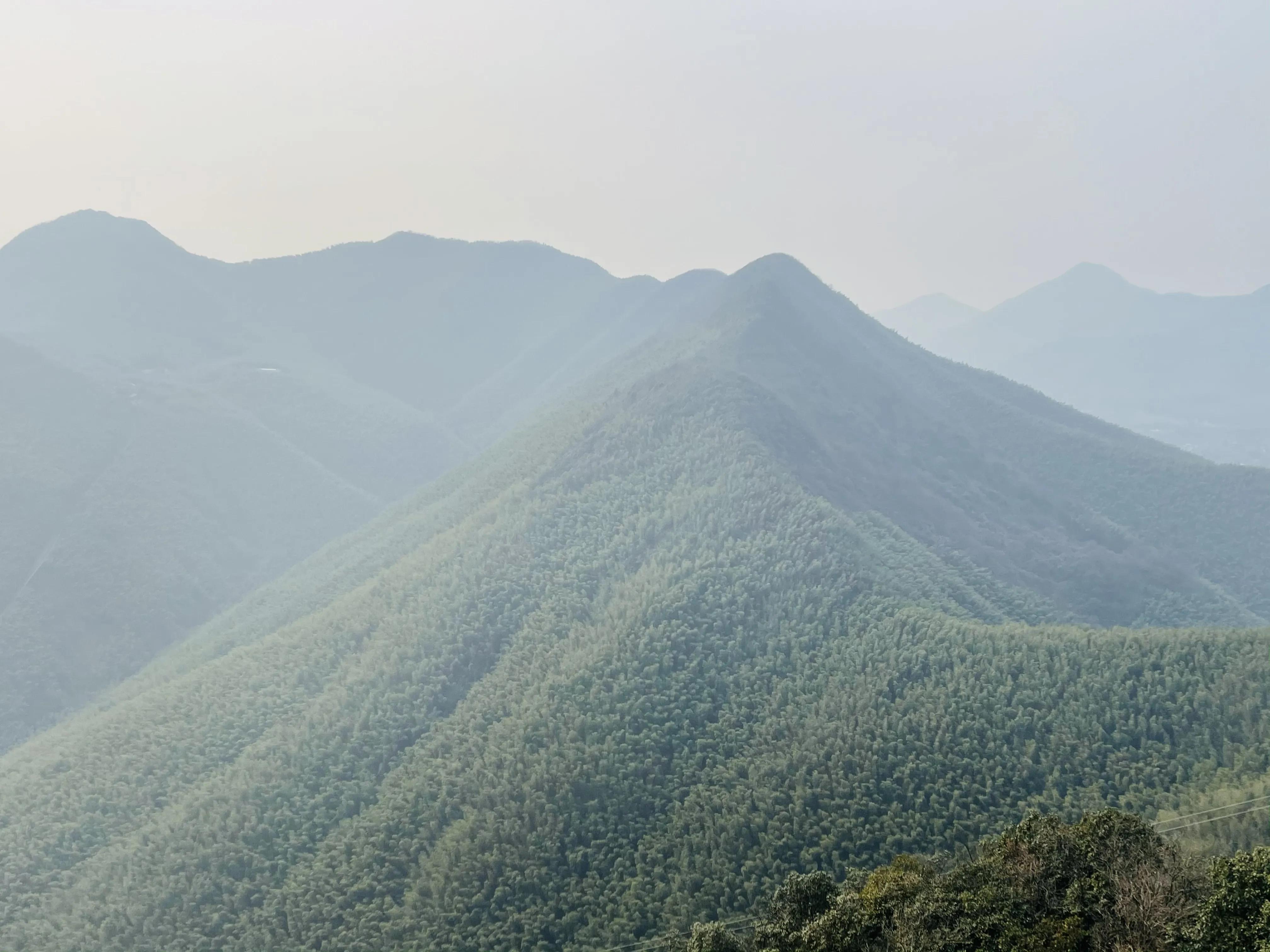 溧阳南山竹海小鸟天堂,宜兴南山竹海和溧阳南山竹海
