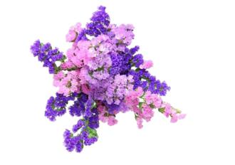 香娜露羊胎素绵羊油滋养霜,香娜露儿羊胎素面霜