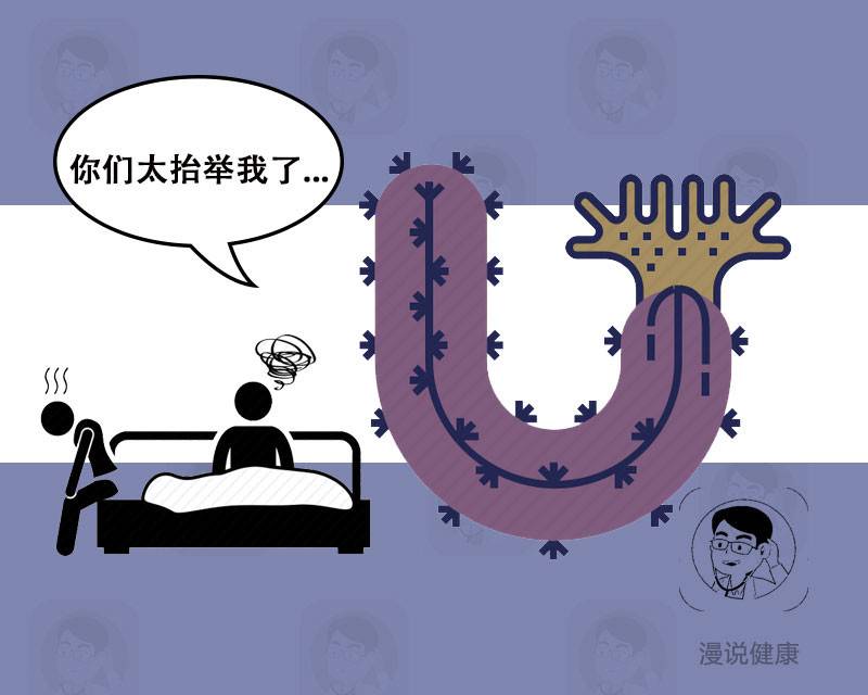 315海参曝光后海参还能吃吗,315曝光海参的功效与作用