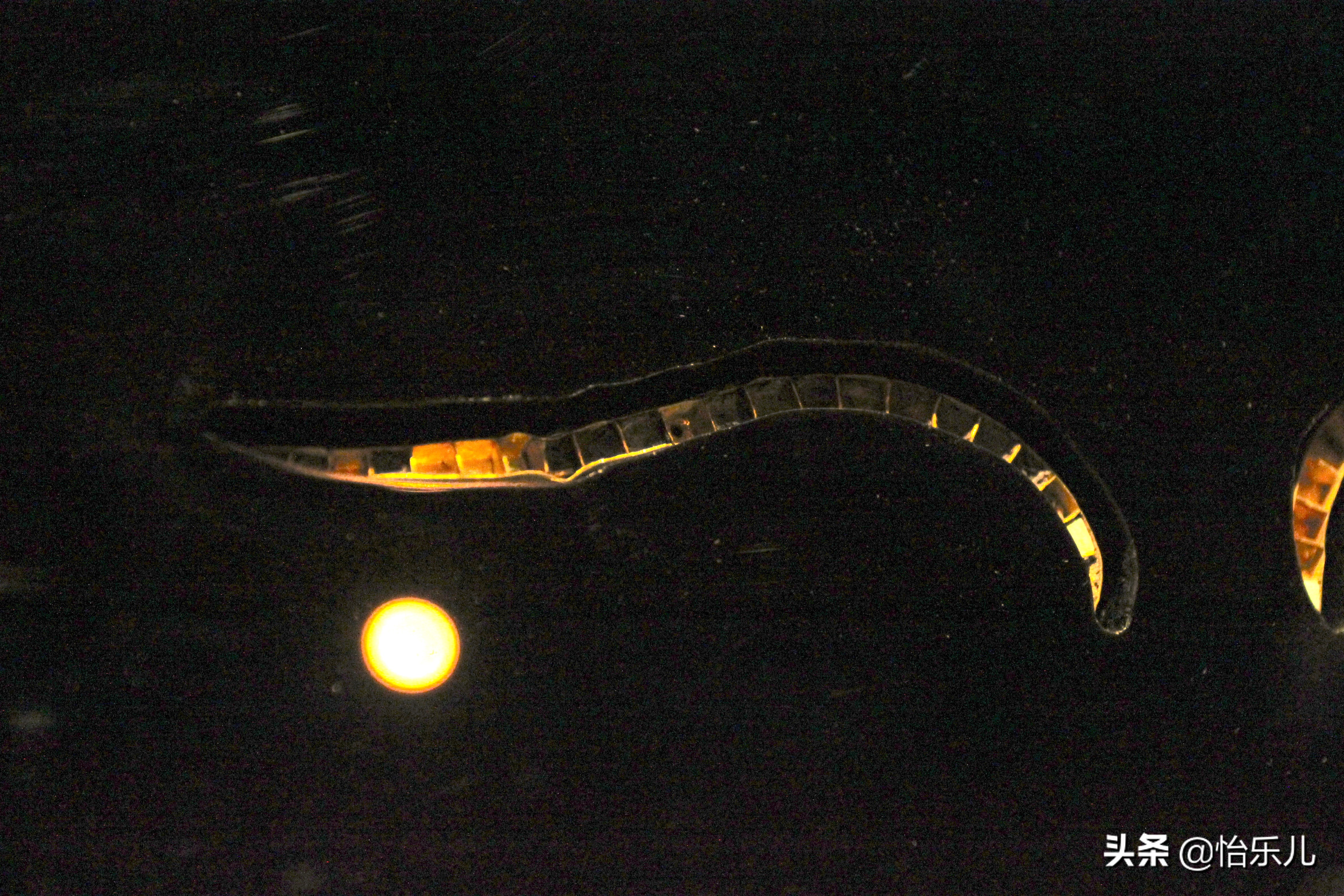 九层妖塔真实发掘,现实九层妖塔出土金象