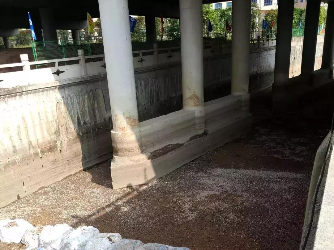 光明这些河流又有新变化,多个好消息密集来报~