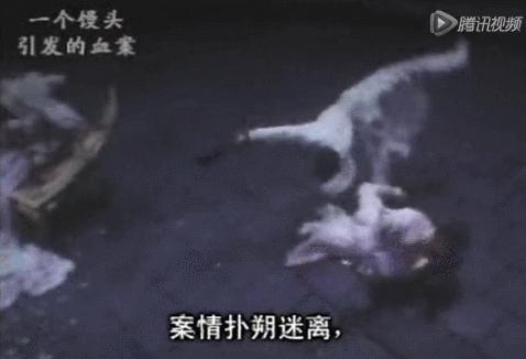 后院起火释义,后院起火的一切