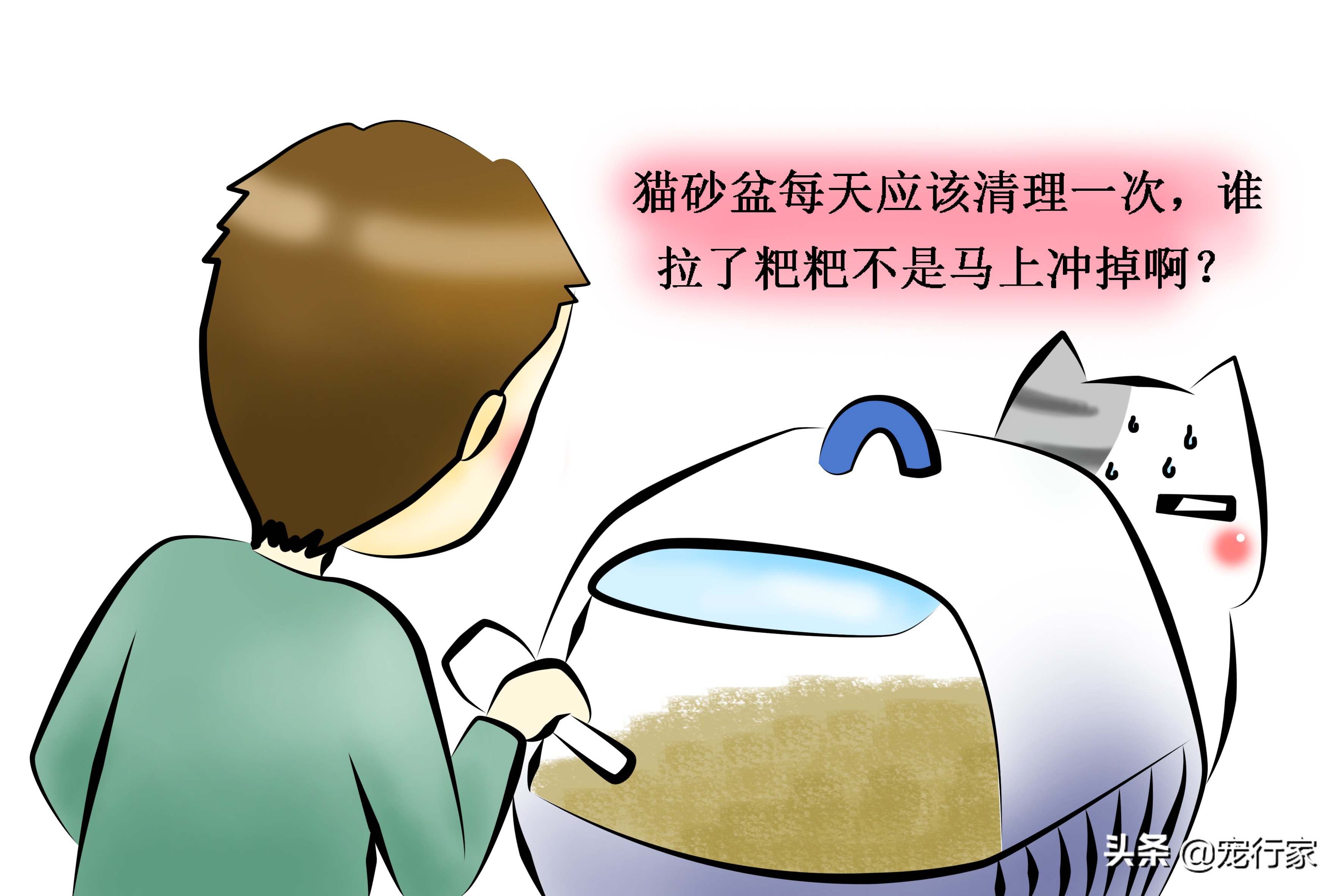 为什么猫咪抓到苍蝇就把它吃掉,猫咪爱吃苍蝇是要吃什么驱虫药