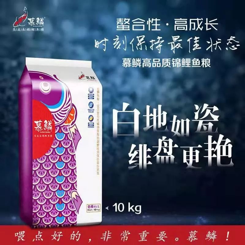 秋天锦鲤怎么杀虫喂什么饲料好,秋天到了怎样做才能健康的贴秋膘