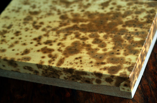 王小爱：日本钤印台种类及制作方法的介绍