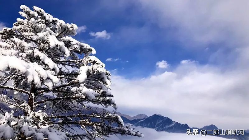 鎶婇鏅粰甯﹁蛋,鎶婂ス甯﹁蛋