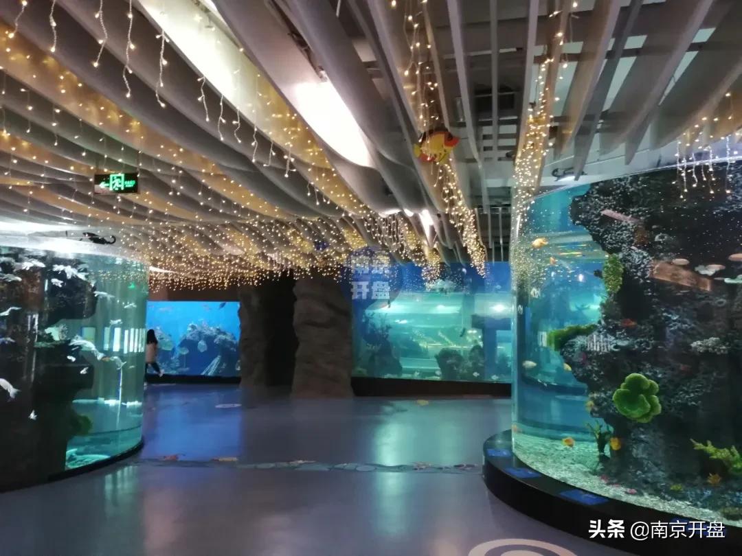 凉凉！南京顶流商场亏本抛售，竟无人接盘