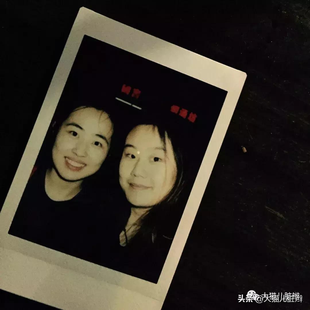 大猫儿脏辫#——老朋友萌仔