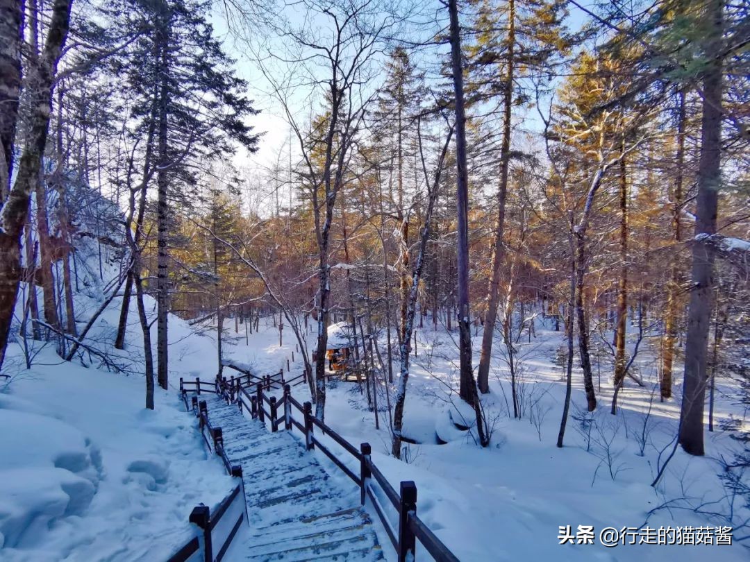 长白山天池猴子泡温泉 (长白山冬天看天池)