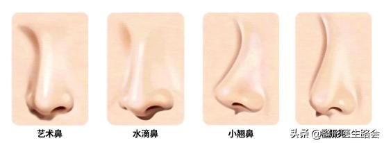 正确的美鼻方法,东方美鼻标准图