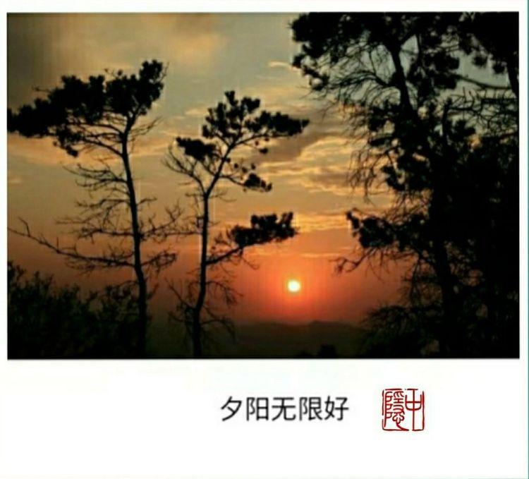 戴学仁魏树华夫妇的幸福故事,白浪情活动