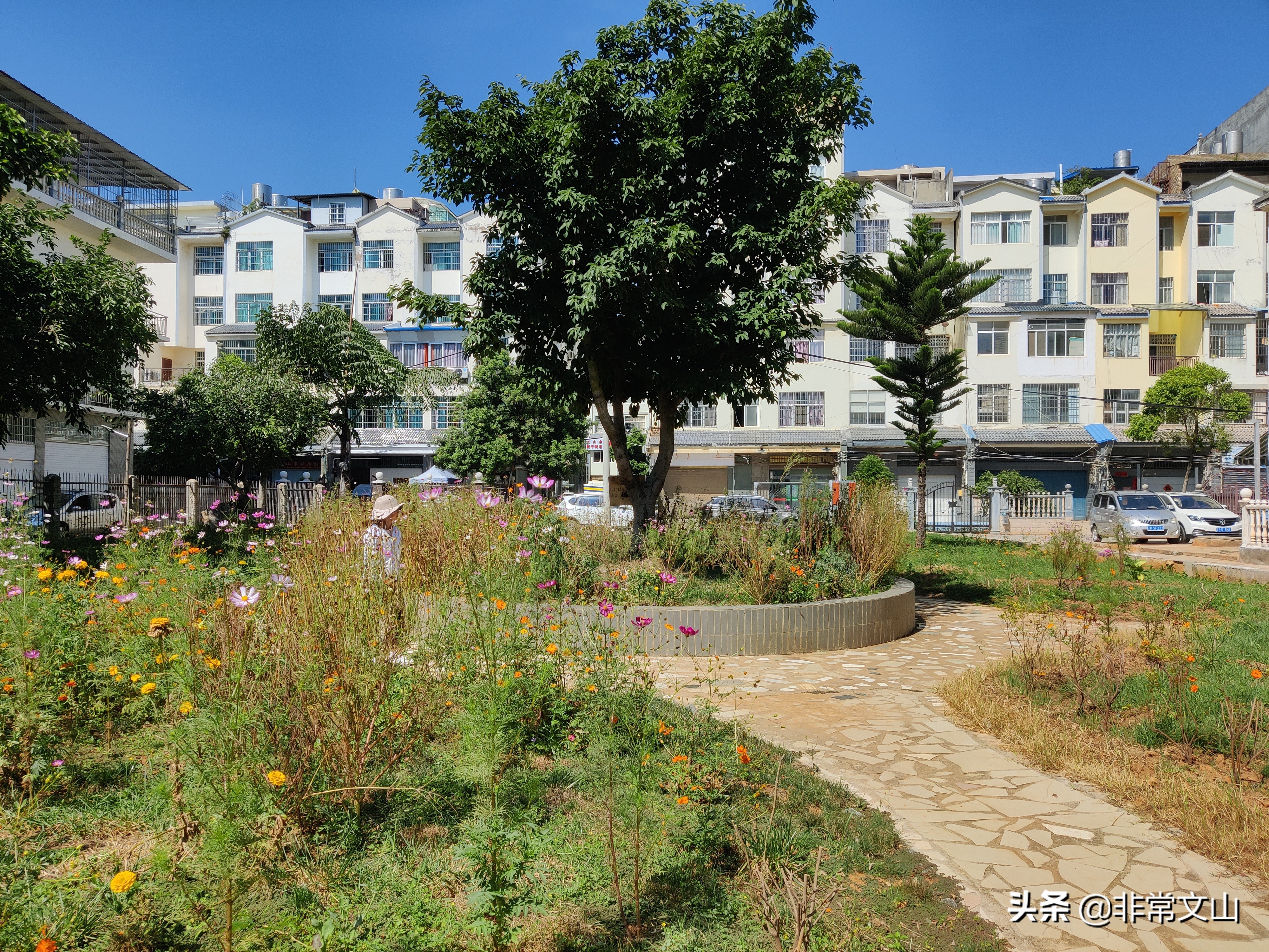 创卫创文行动,创文创卫新举措