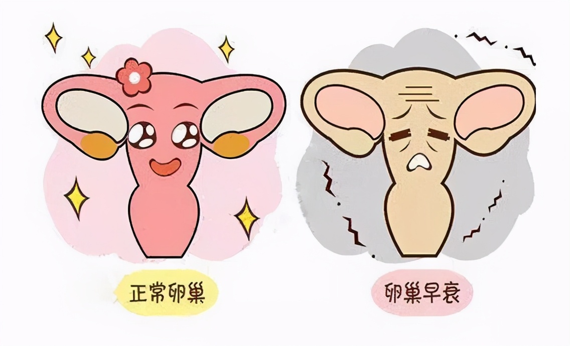 34岁突然发胖胸下垂,无故发胖乳房下垂