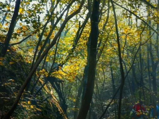 安徽玻璃桥旅游攻略,安徽周边大峡谷二日游最佳攻略