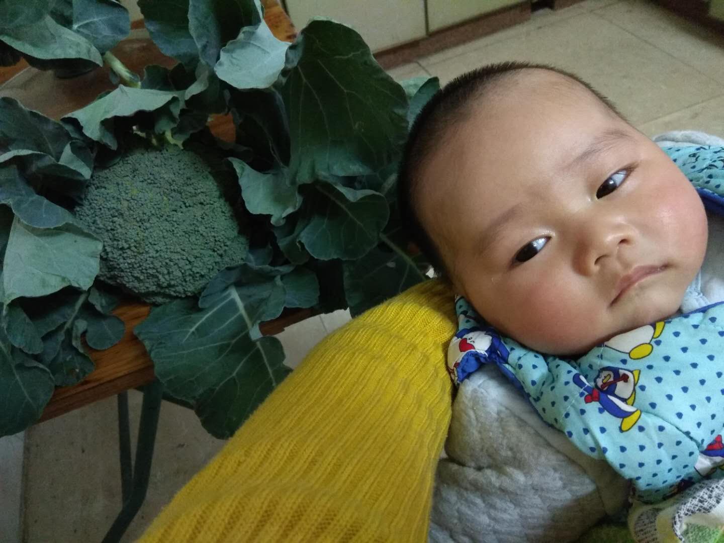 宝宝流鼻涕怎么办速效办法,宝宝流鼻涕怎么办速效方法