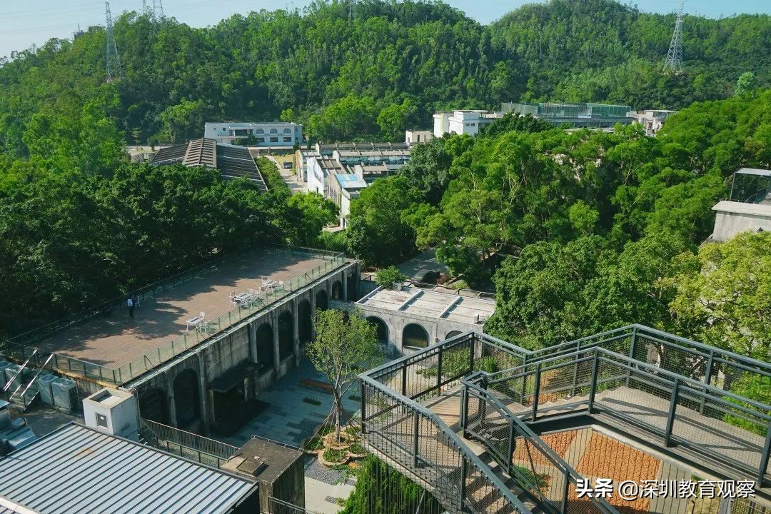 走名校vol.8|三年，明德国际体系走出怎样一条新路？