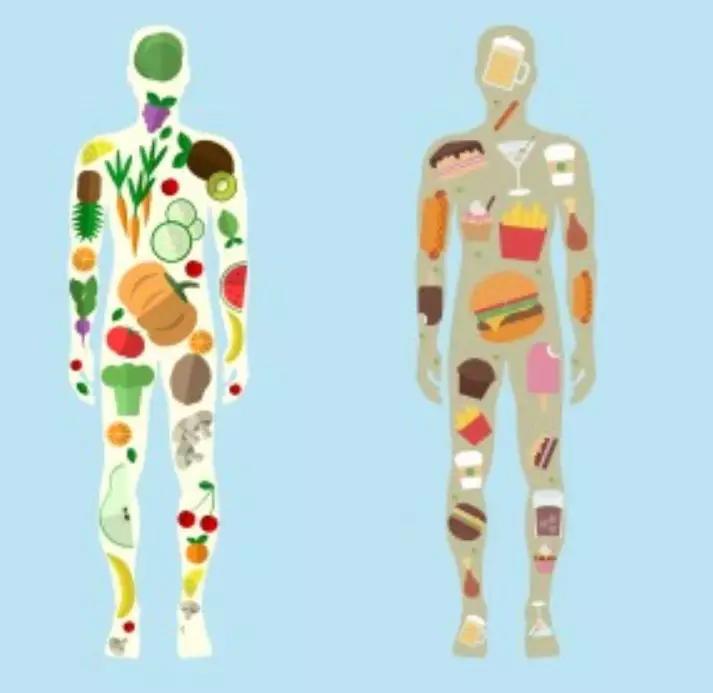 认识多巴胺和内啡肽,多巴胺教育孩子的秘诀