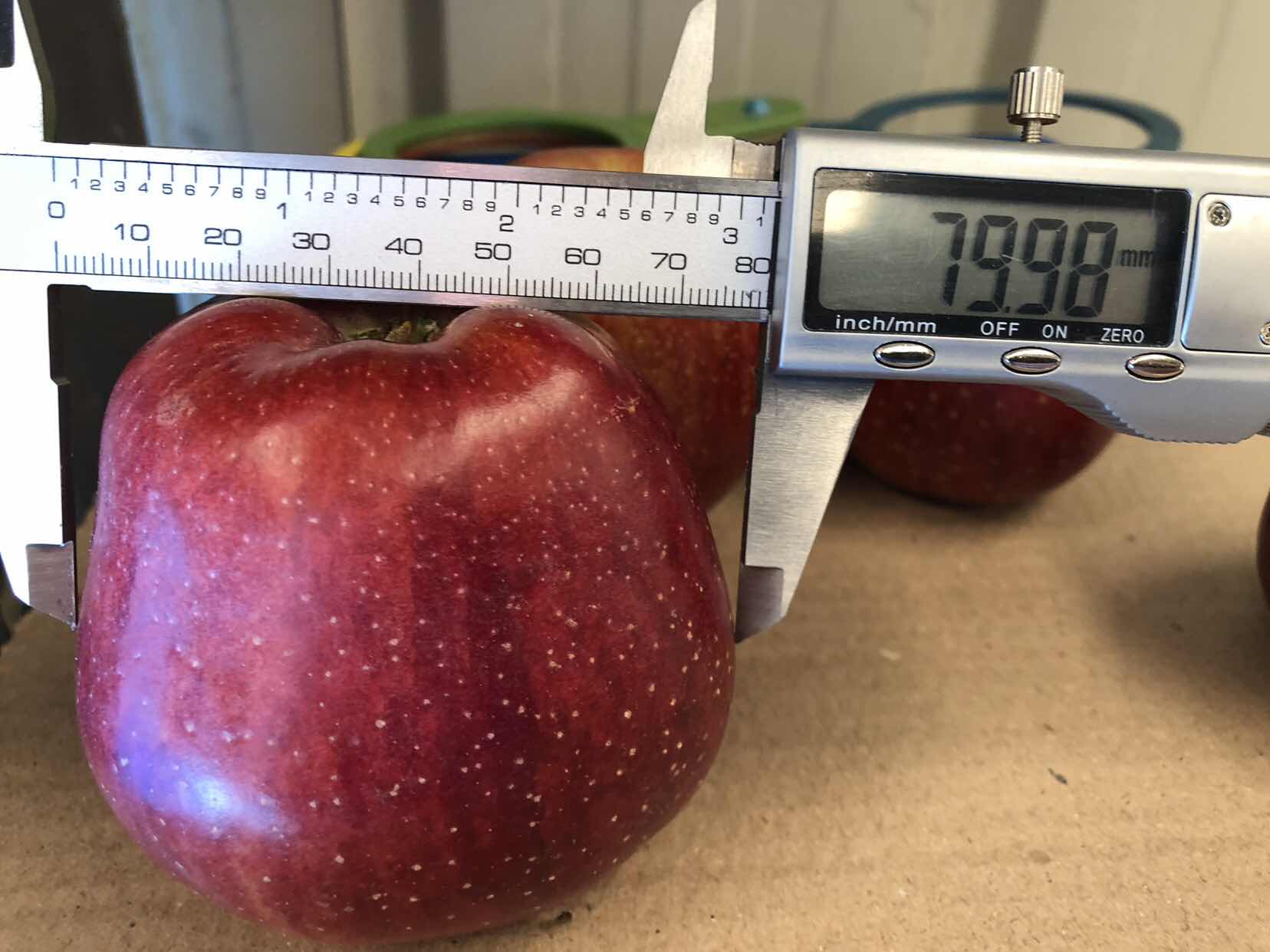 阿里巴巴创始人戴珊的努力经历,戴珊阿里巴巴网络技术