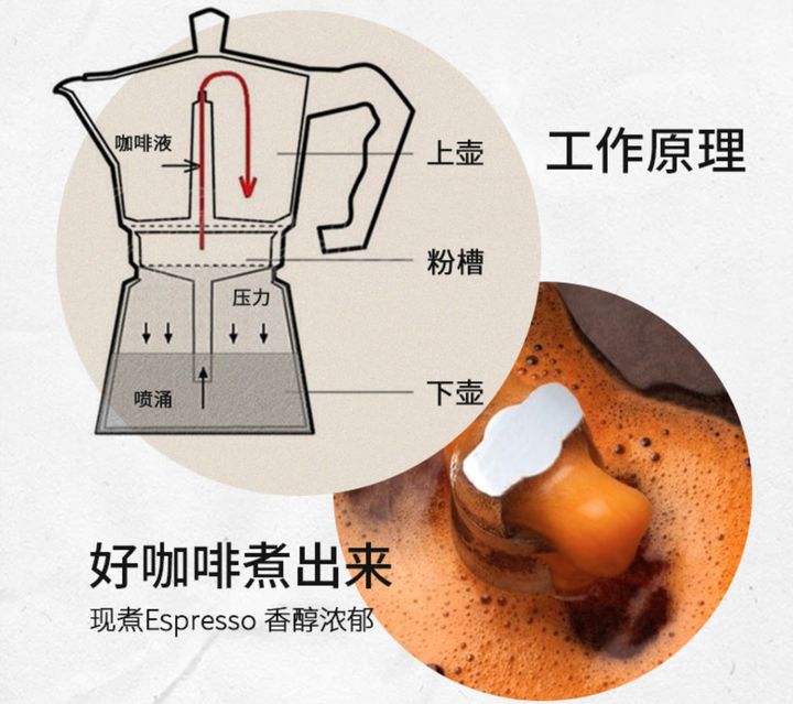 关于咖啡入门，搞懂这篇就足够啦