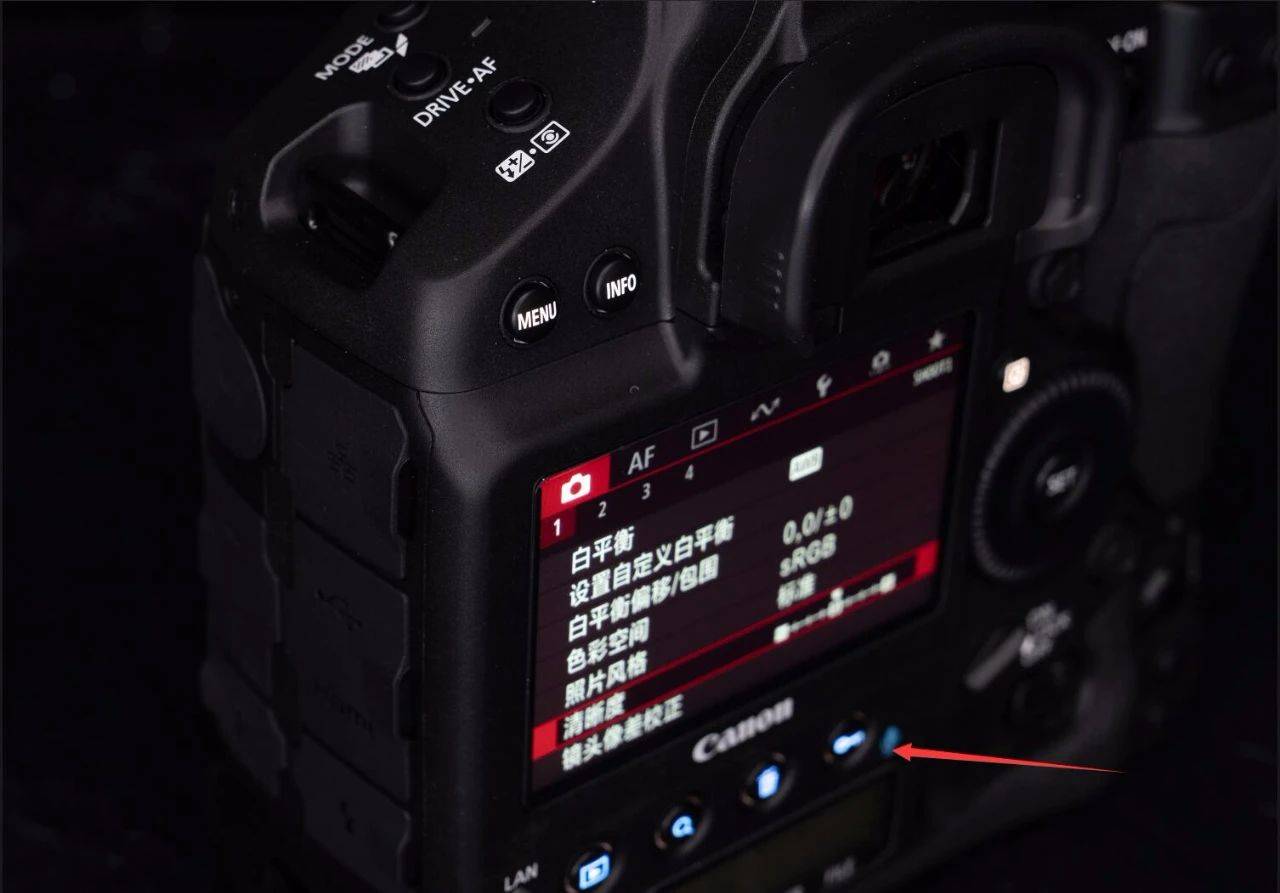 佳能eos-1dxmarkii实拍,佳能eos-1dxmarkiii价格