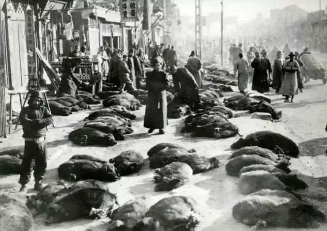 彰义门是哪个门,彰义门是现在哪个地方