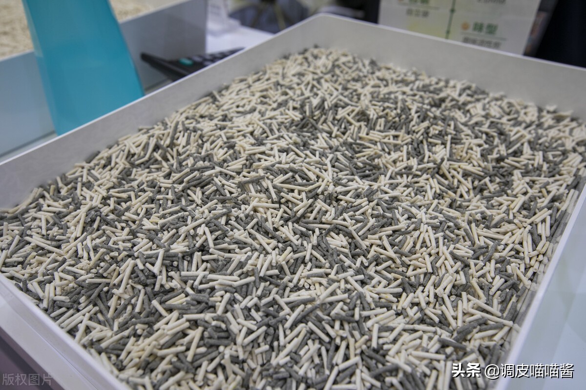 怎么让小奶猫在猫砂里尿尿,猫怎么使用猫砂