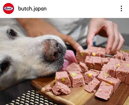 国内可以吃到进口主食猫狗鲜粮了，为什么鲜粮比普通猫狗粮好