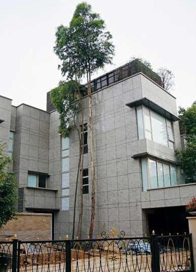 黎明香港豪宅值多少钱,香港黎明豪宅视频