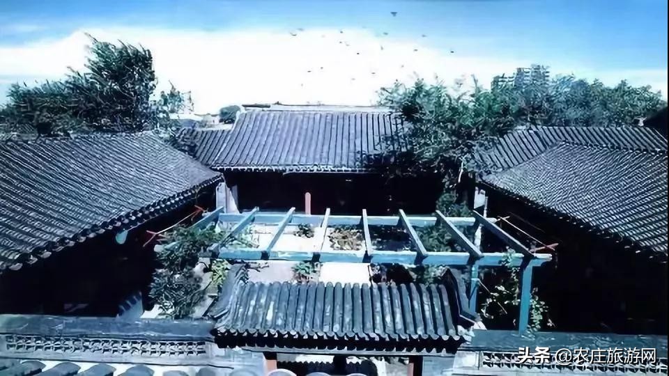 有历史文化气息的老院子,老院子美到骨子里