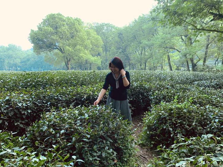 龙井村九溪十八涧徒步最佳路线图,九溪十八涧只有龙井村一个出口吗