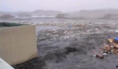 海的力量,感恩海的力量