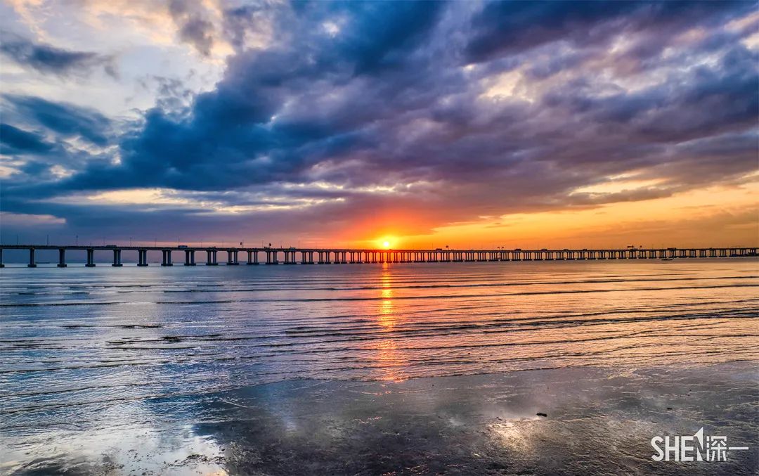 疫情期间免费开放的公园,疫情期间开放的公园有哪些