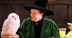 英语中称呼老师为什么不用teacher,英语中可以直接称呼老师teacher吗