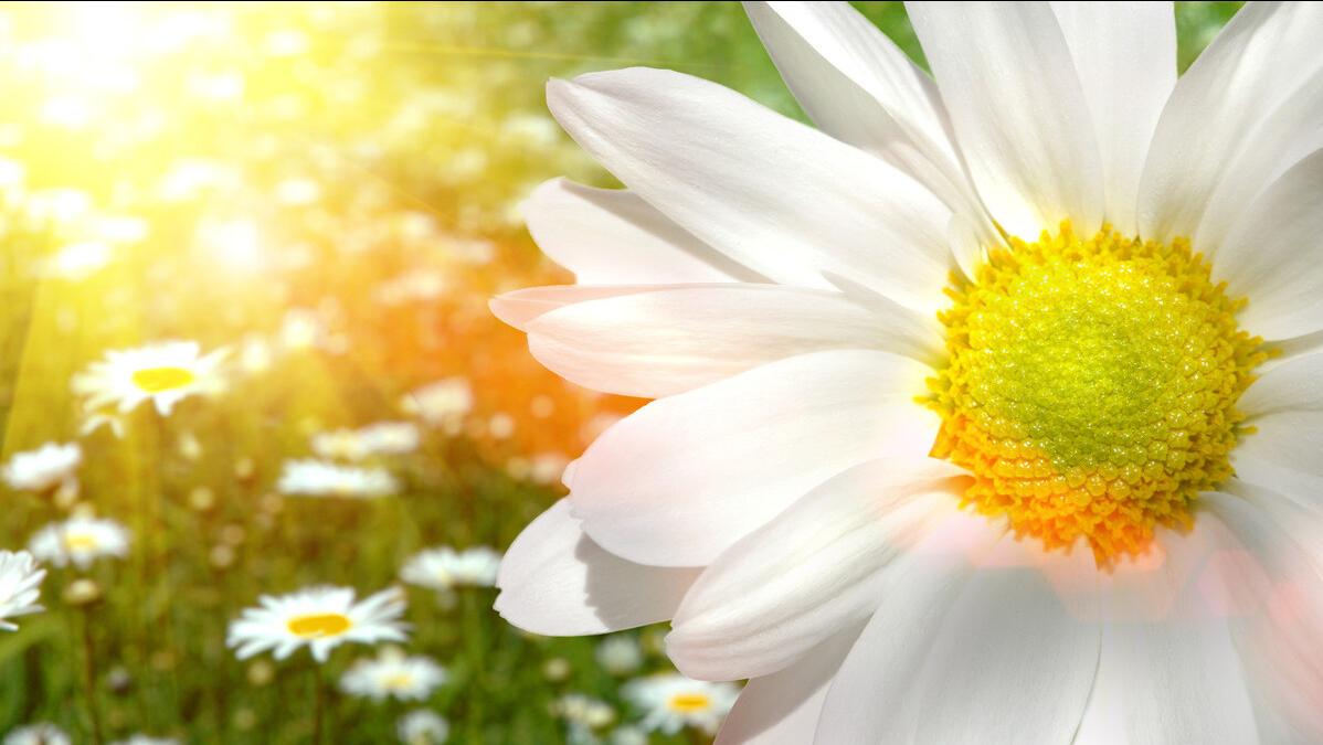 你姐夫这么会赚钱为什么不带带你们呢