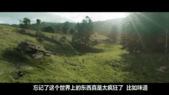 国内评分低国外评分高的电视剧,上映八天评分飙到8.4