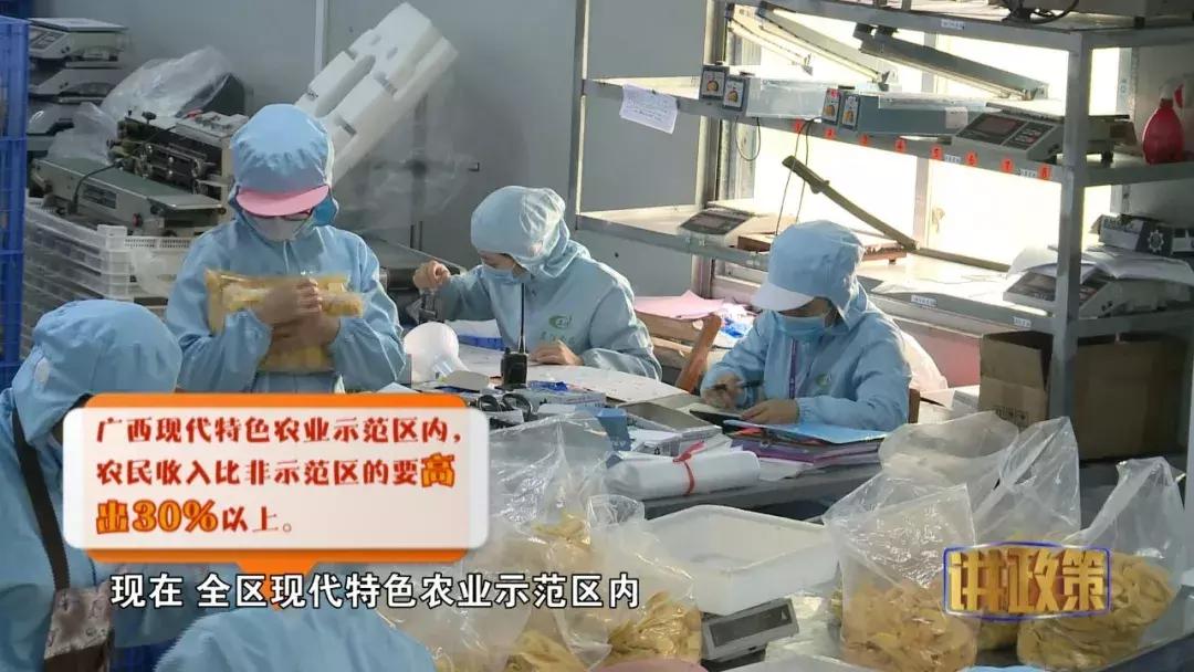 广西的产业发展趋势与政策,广西农业发展趋势与政策研究