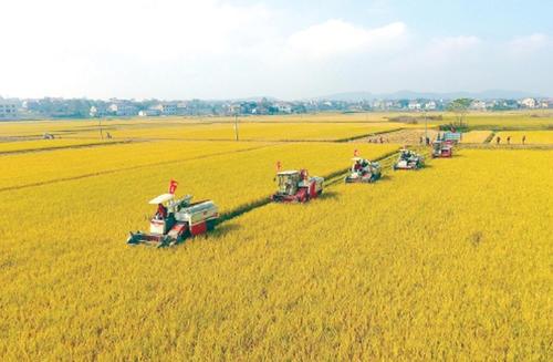 农学专业将来的就业方向,农学类就业很差么