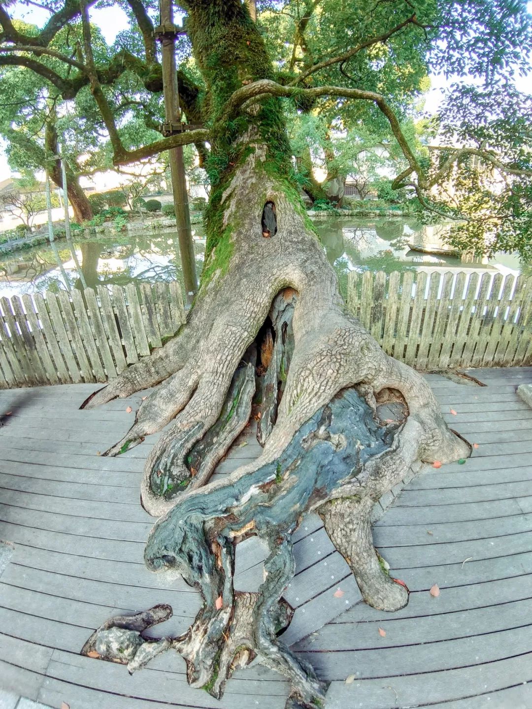 绱㈠凹xperia1鍦ㄦ棩鏈殑鍞环,绱㈠凹xperia1鏃ユ湰