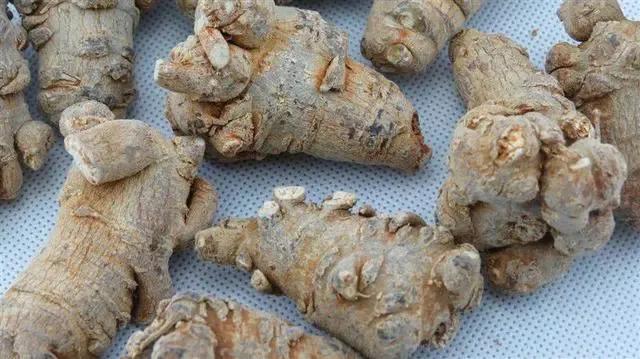 药师常识大全,药师知识教程