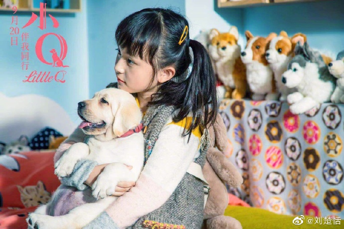 你有被人坚定的选择过吗原视频,你有被人坚定的选择过吗