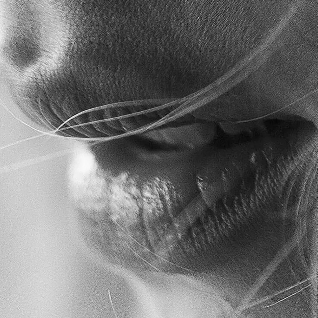 这些情而不色的「局部特写」，也太高级了吧