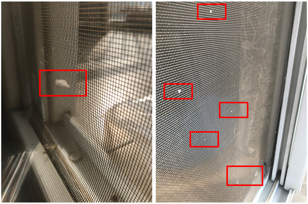 为何家里总有很多毛絮,每年的毛絮怎么解决