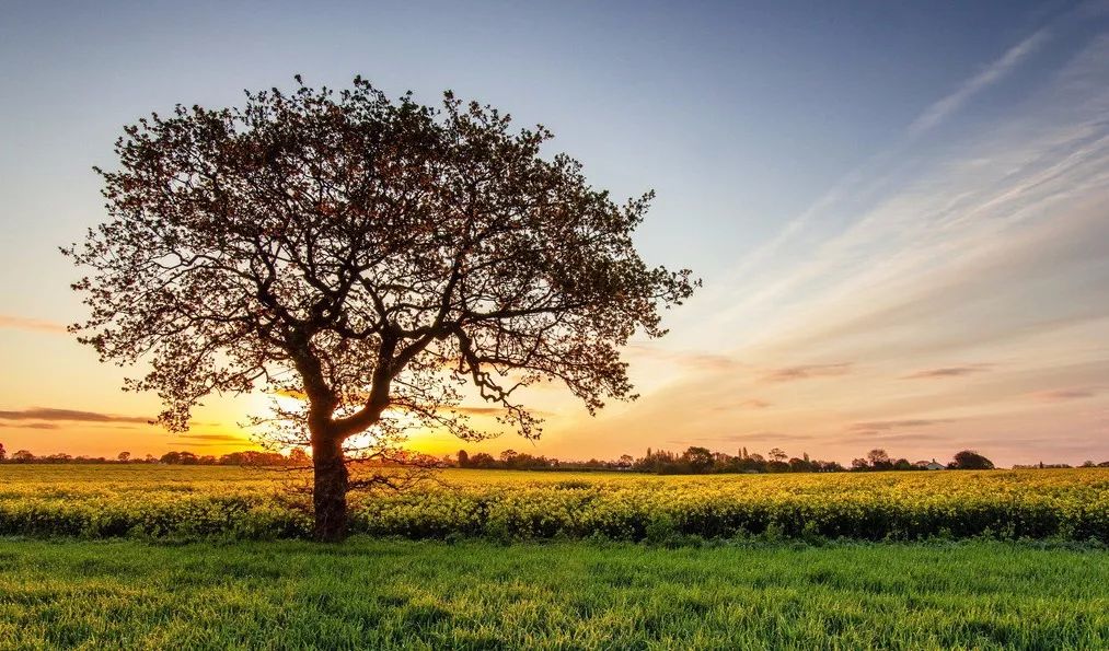 丰都龙景花园避暑房,丰都南天湖避暑房推荐