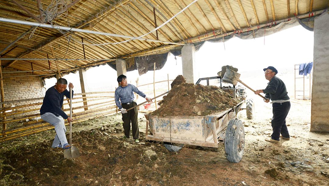磷的科普视频,磷元素怎么发现的