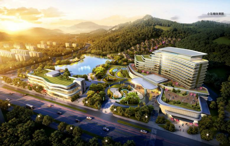 丽水投资15亿民宿,丽水五星级酒店名单