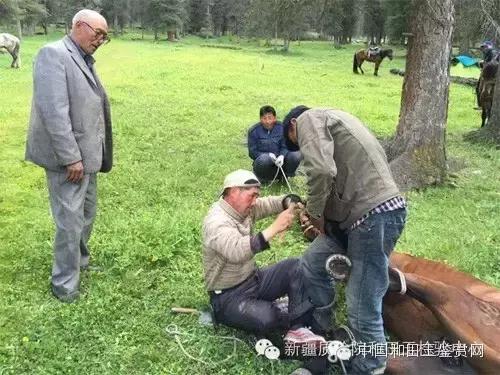 玛纳斯探奇之旅,新疆探秘伊犁