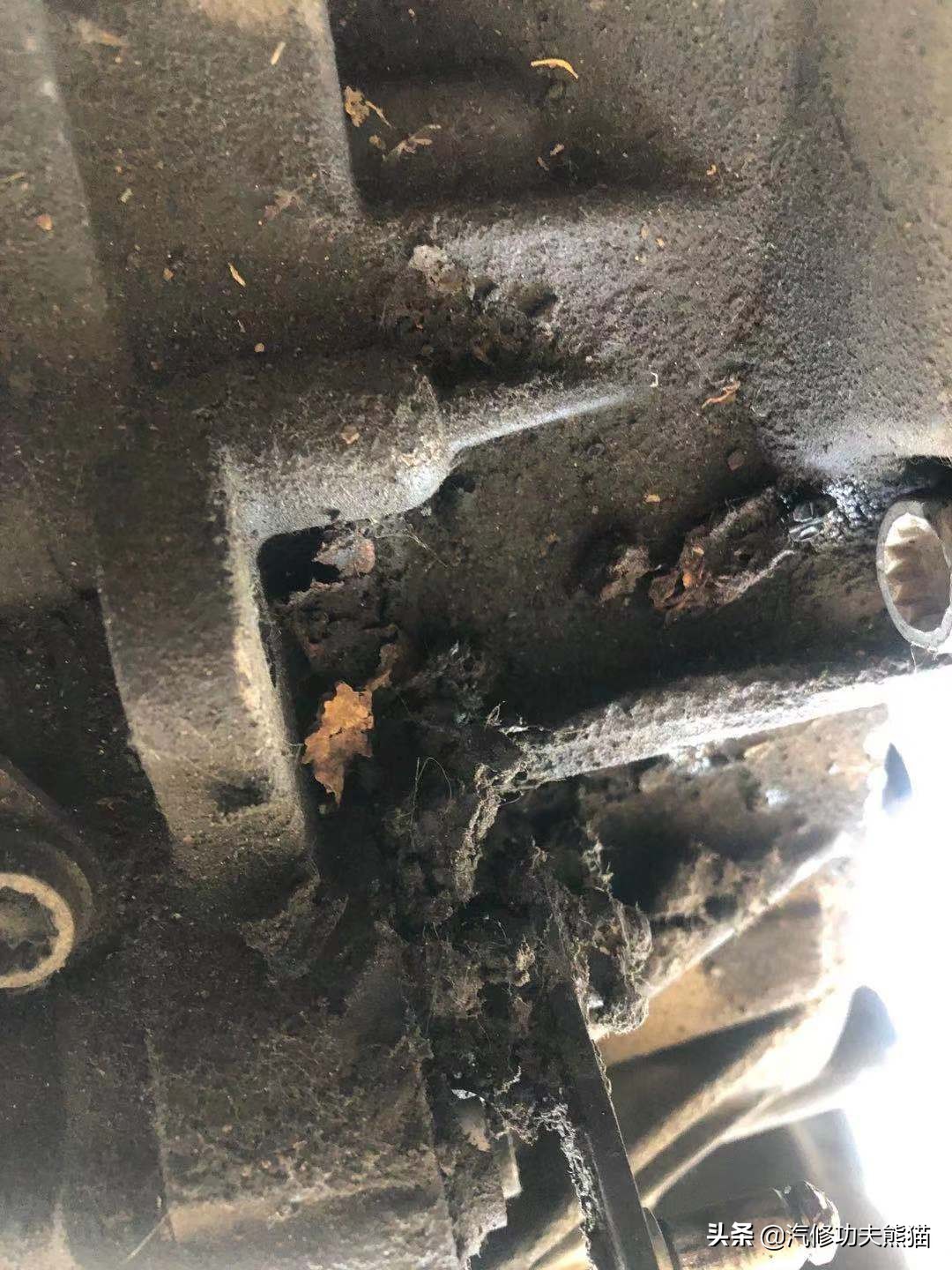 百年大众汽车品牌毁于烧机油？烧机油并非绝症，看看这台进口夏朗