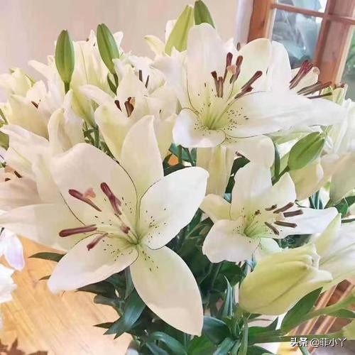 教师节送什么颜色的鲜花,教师节送花送什么颜色好