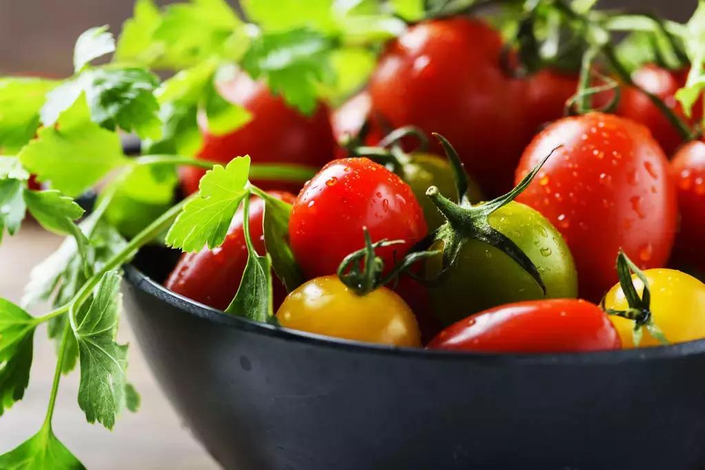 番茄是一种常见植物,番茄是一个很不错的水果