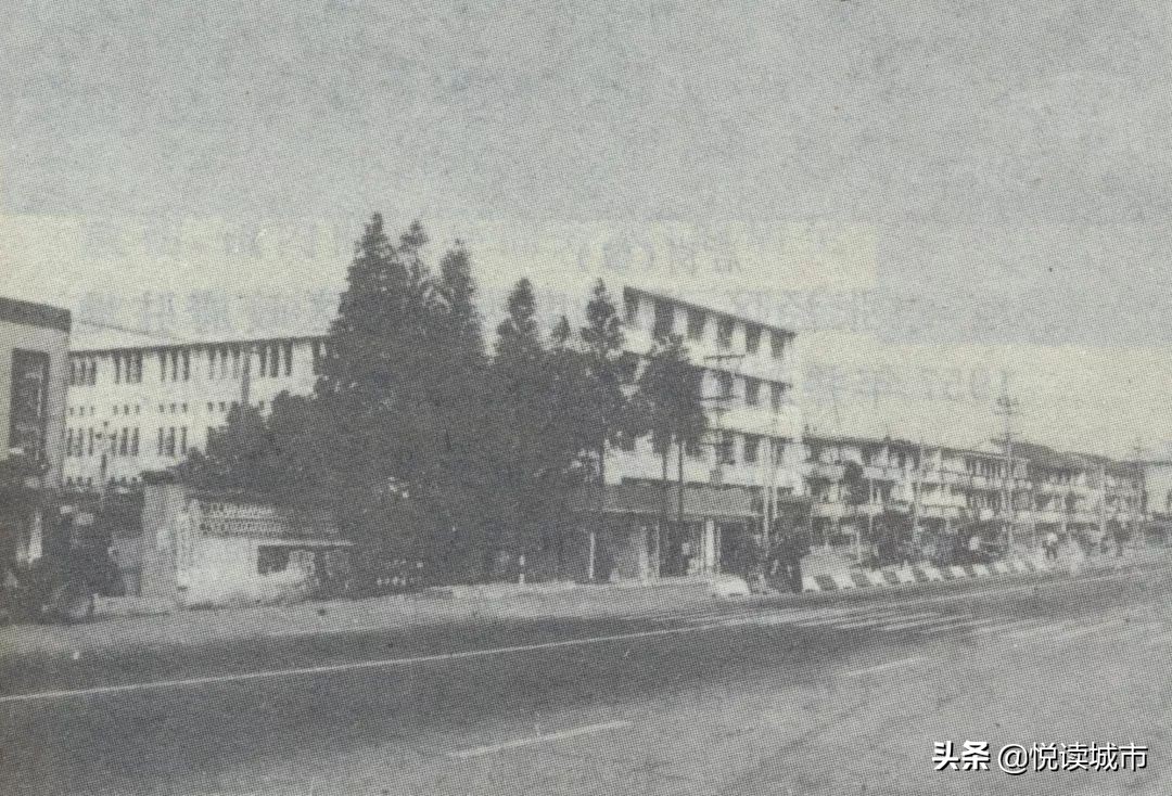 金秋赏“金”：新老照片对比金山发展老金山都不一定认得全